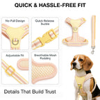 Petbabas Pastel Peach Harness