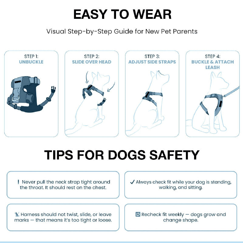 Petbabas Black cartoon harness