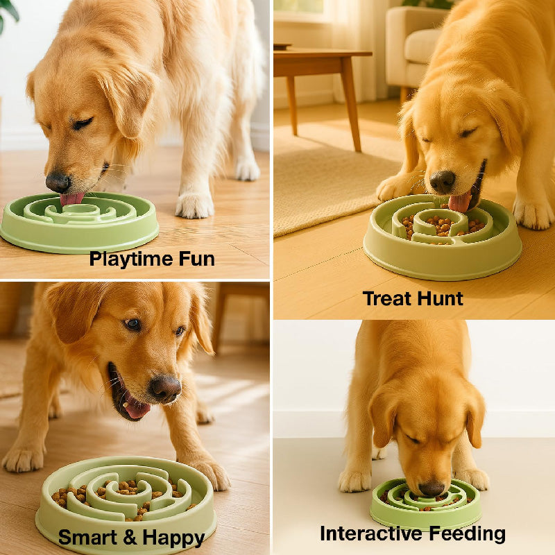 Petbabas Round Slow Feeder Bowl