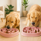 Petbabas Square Slow Feeder Bowl