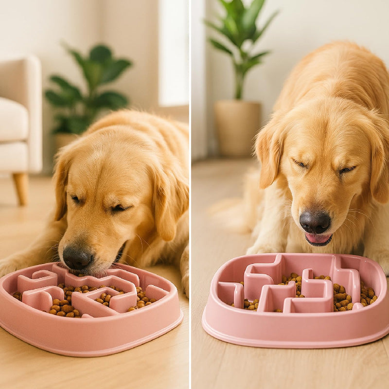 Petbabas Square Slow Feeder Bowl