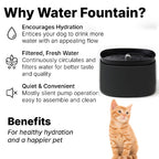Petbabas Automatic Pet Water Fountain