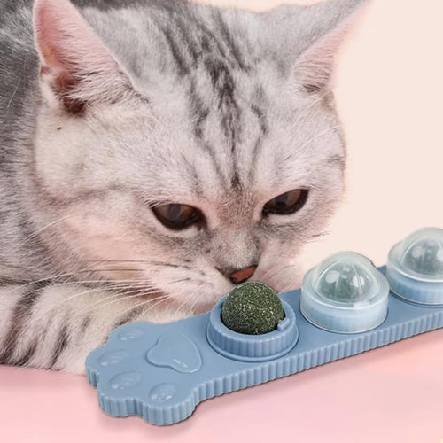 Petbabas 3 Pc Catnip Toy