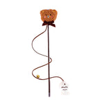 Petbabas Cat and Dog Playing Stick