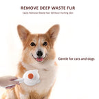 PETBABAS Small Dog and Cat Grooming Kit