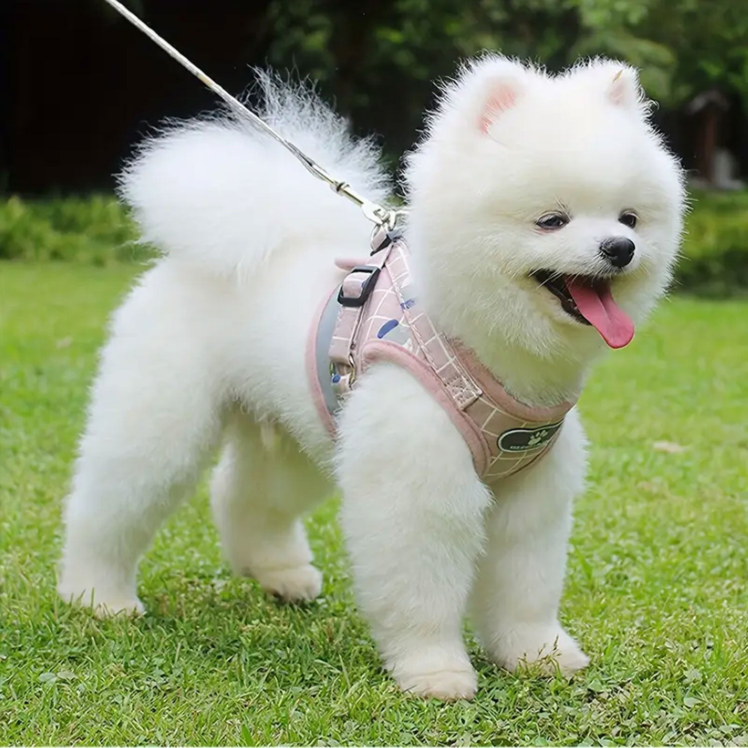 PETBABAS Adjustable Comfort Harness for Dog and Cat