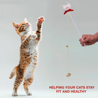 Petbabas Cat and Dog Playing Stick