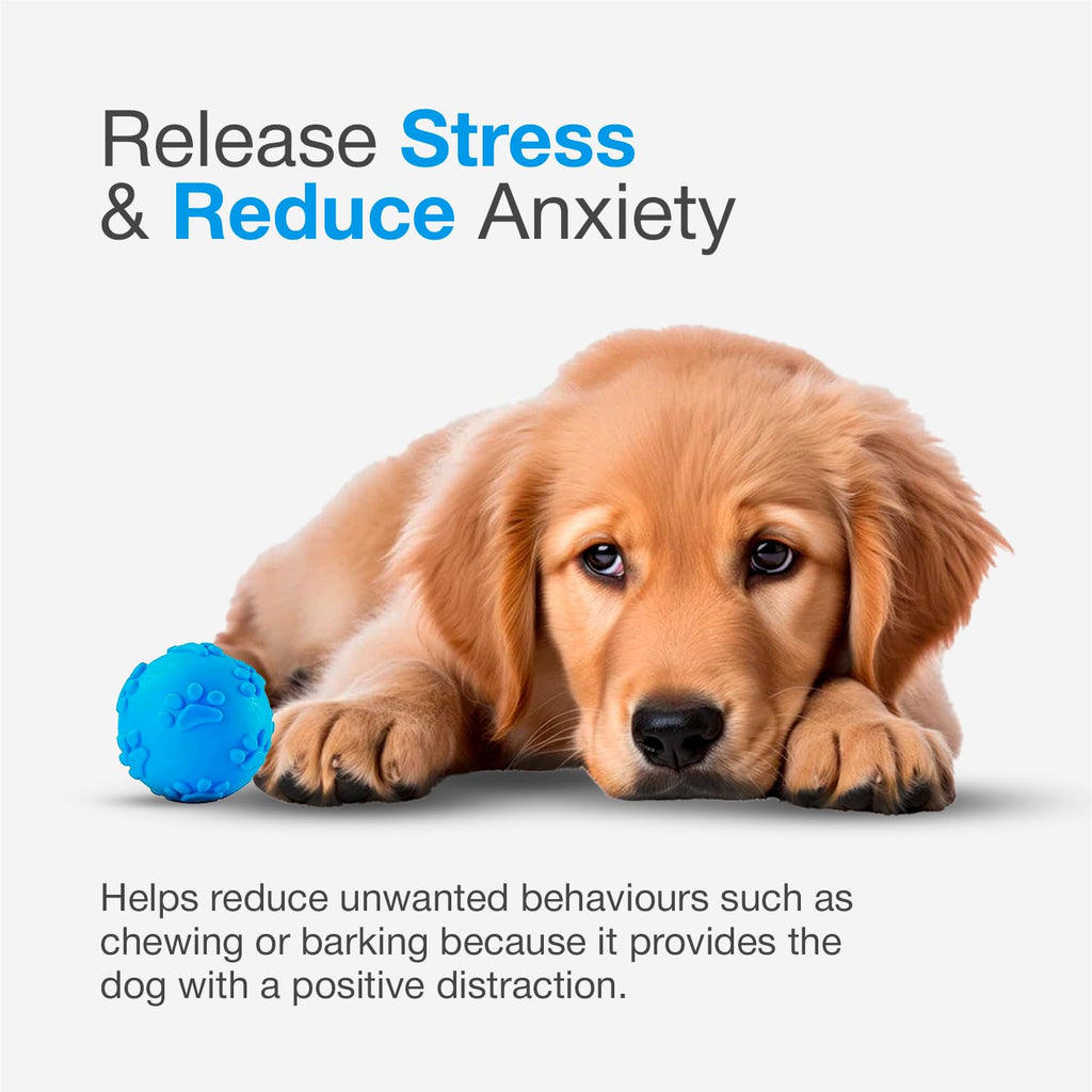 Petbabas Play Ball for Dogs