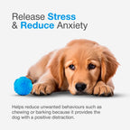 Petbabas Play Ball for Dogs