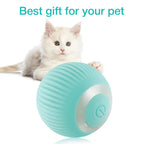Petbabas Smart 360° Self-Rolling Cat Chasing Rotatable Toy Ball with LED Lights