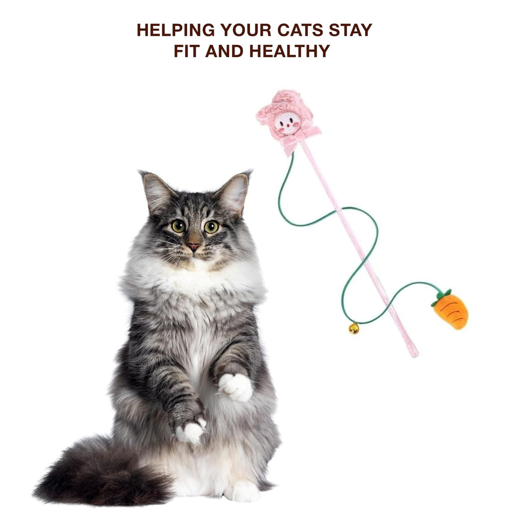 Petbabas Cat and Dog Playing Stick