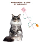 Petbabas Cat and Dog Playing Stick