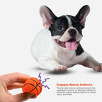 Petbabas Interactive Playing Ball for Dogs