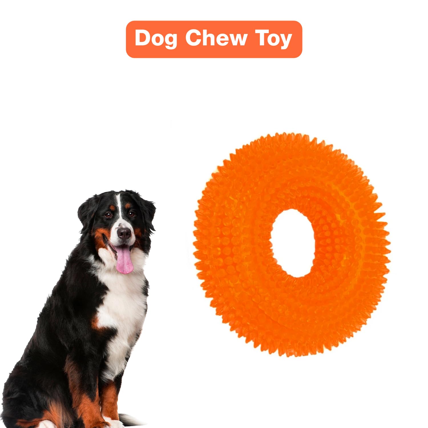 Petbabas Squeaky Ring Toy|Non- Toxic and Durable Squeaky Ring Shaped Ring Toy