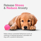 Petbabas Play Ball for Dogs