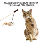 Petbabas Cat and Dog Playing Stick