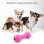 Petbabas Durable Chew toy Dumbbell for Dogs and Cats