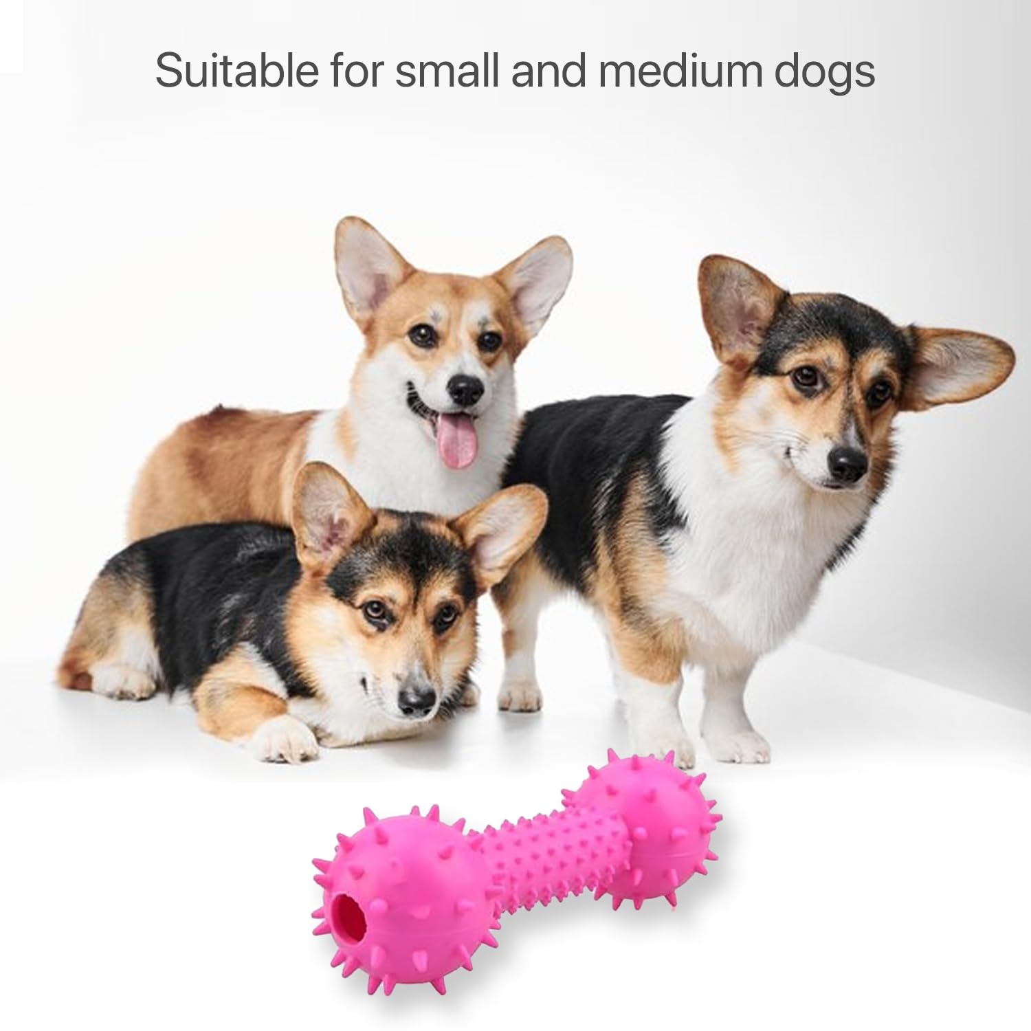 Petbabas Durable Chew toy Dumbbell for Dogs and Cats