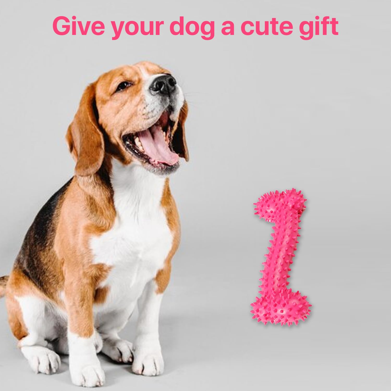 PETBABAS Dog Chew Toy for Puppy, Cute Blue Small Dog Toy