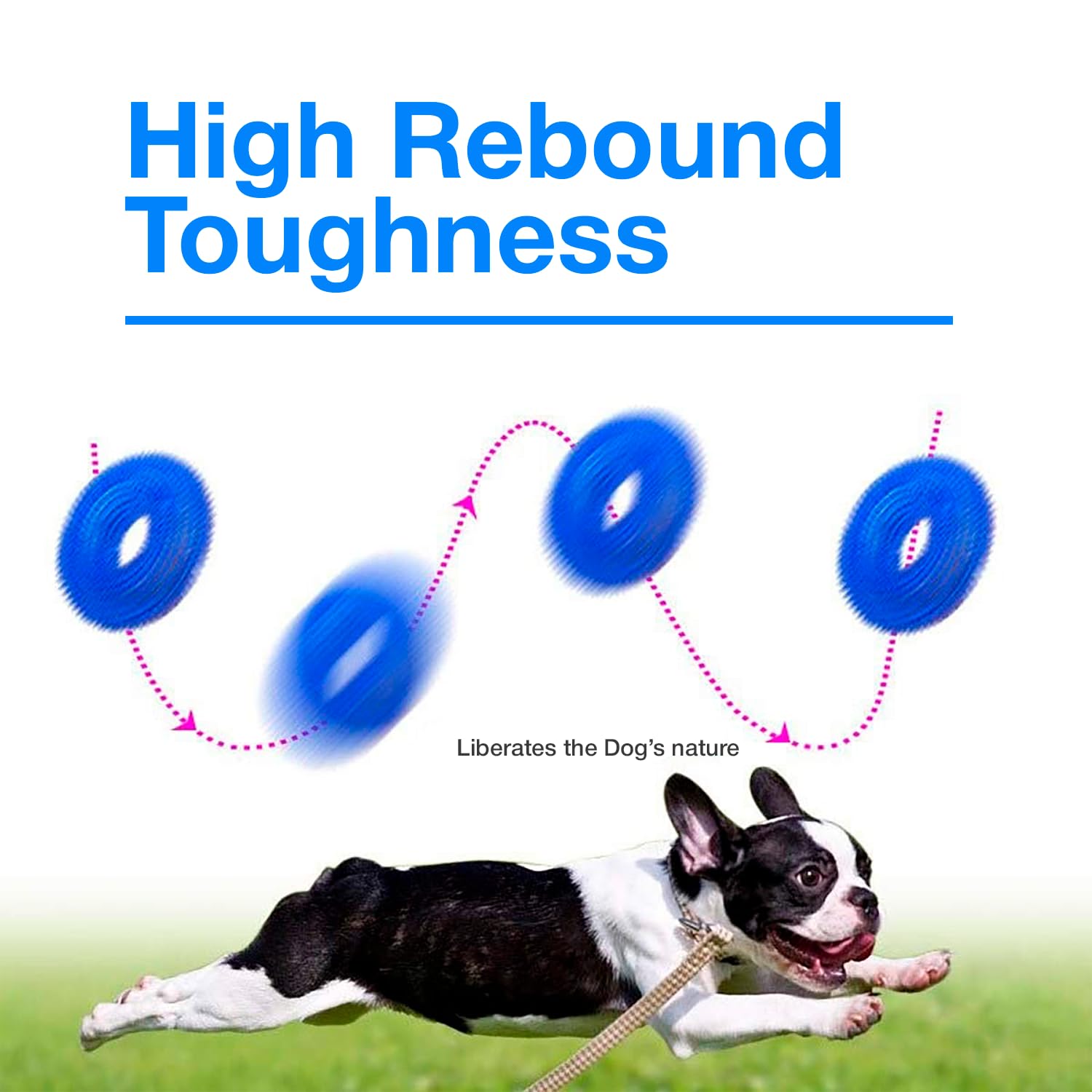 Petbabas Squeaky Ring Toy|Non- Toxic and Durable Squeaky Ring Shaped Ring Toy