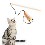 Petbabas Cat and Dog Playing Stick