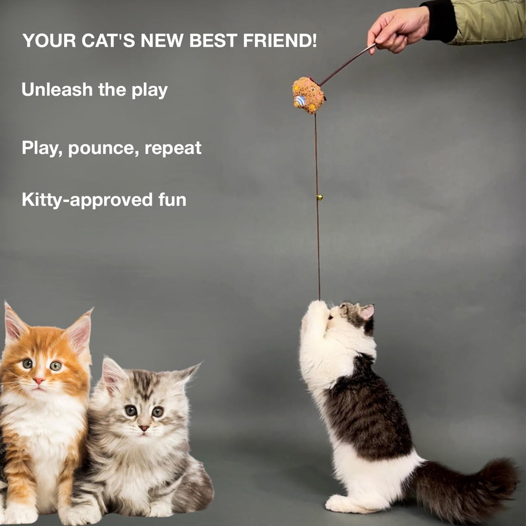 Petbabas Cat and Dog Playing Stick