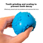 Petbabas Play Ball for Dogs