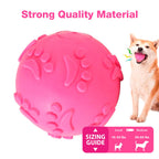 Petbabas Play Ball for Dogs