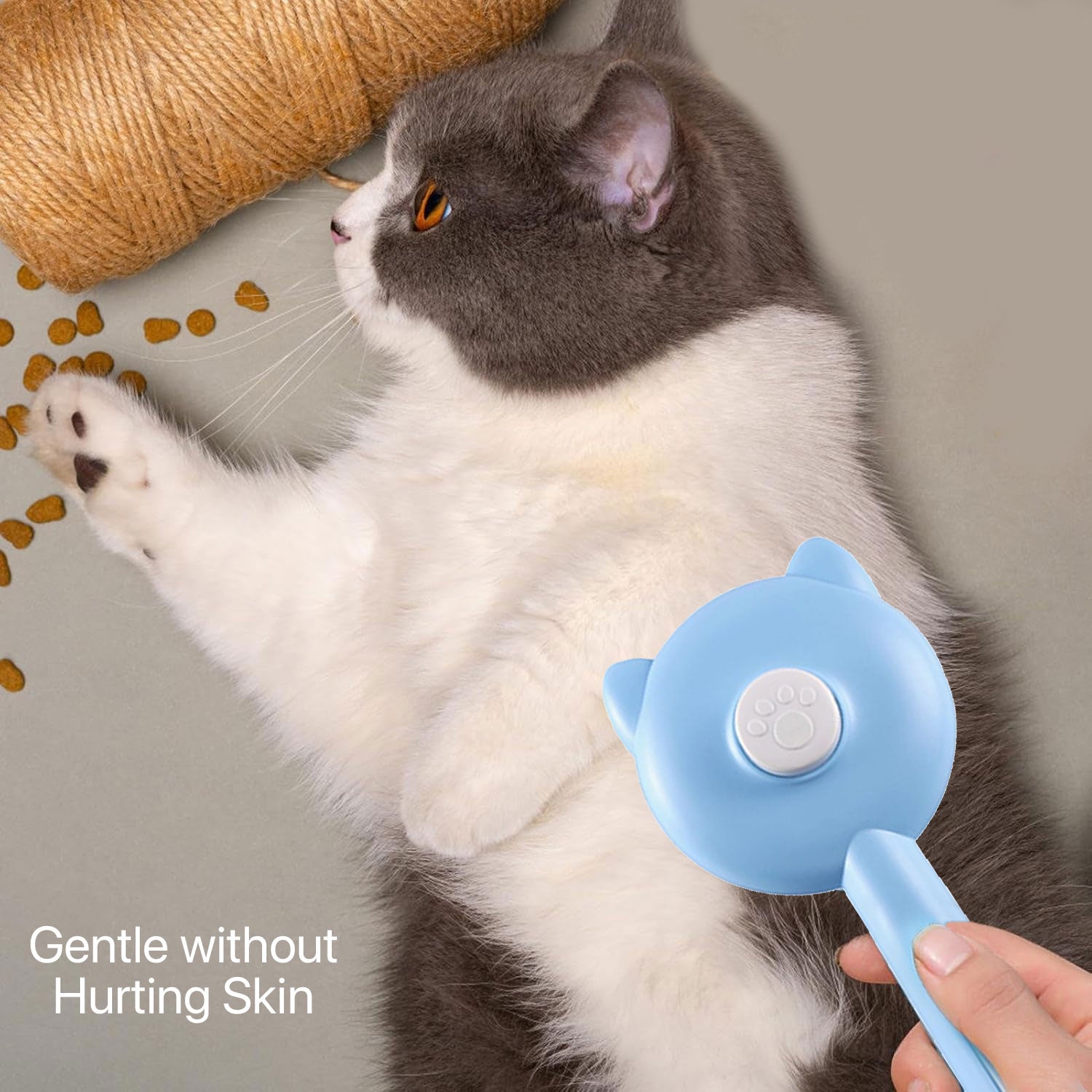 PETBABAS Small Dog and Cat Grooming Kit