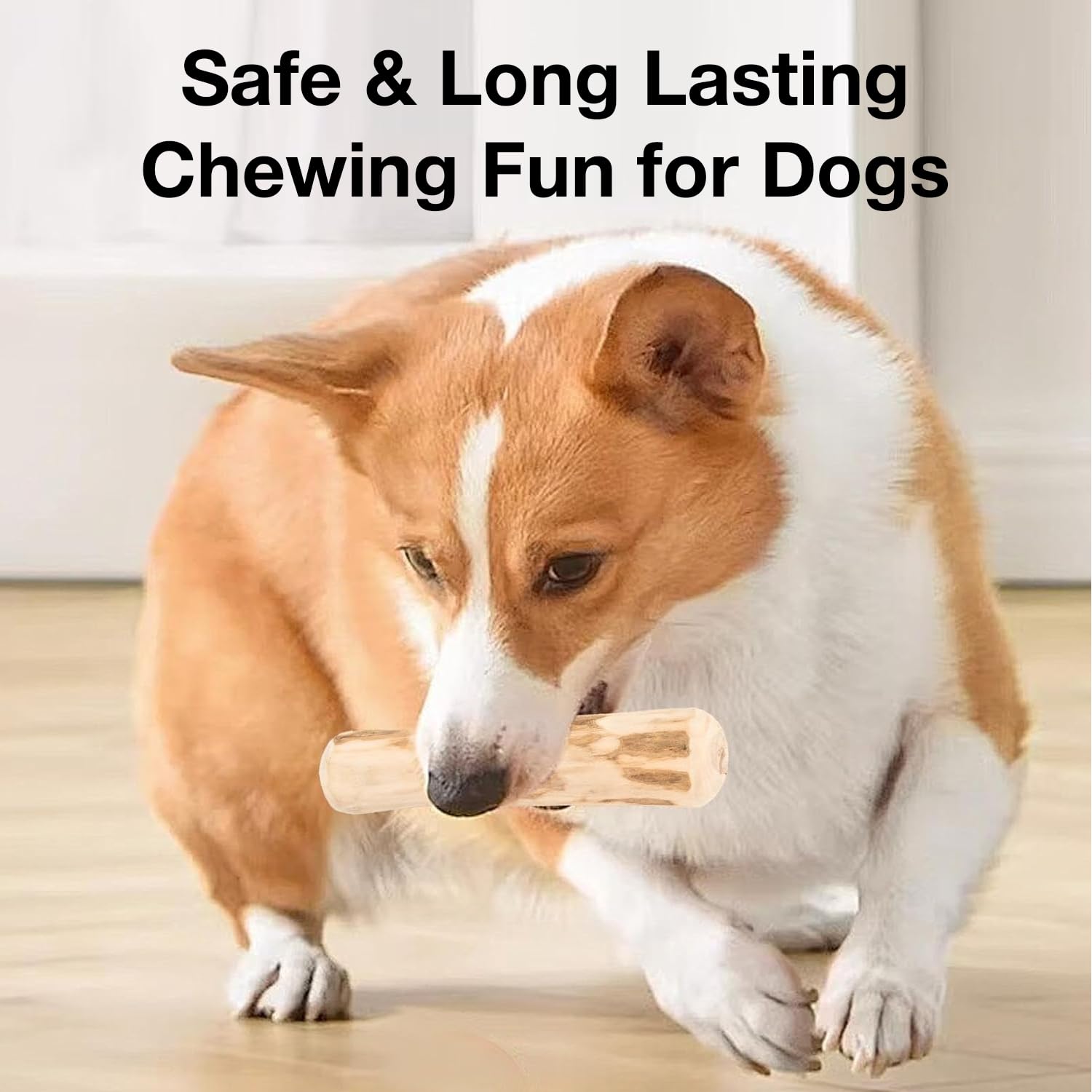 Petbabas Pet Coffee Wood Dog Toys