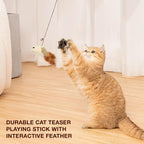 Petbabas Cat and Dog Playing Stick