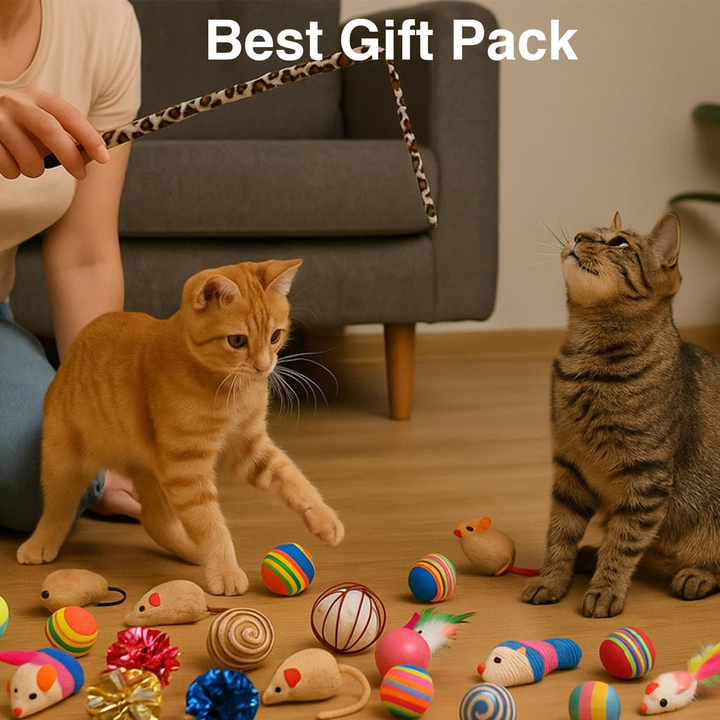 Petbabas 21 Pcs Cat Toy Set