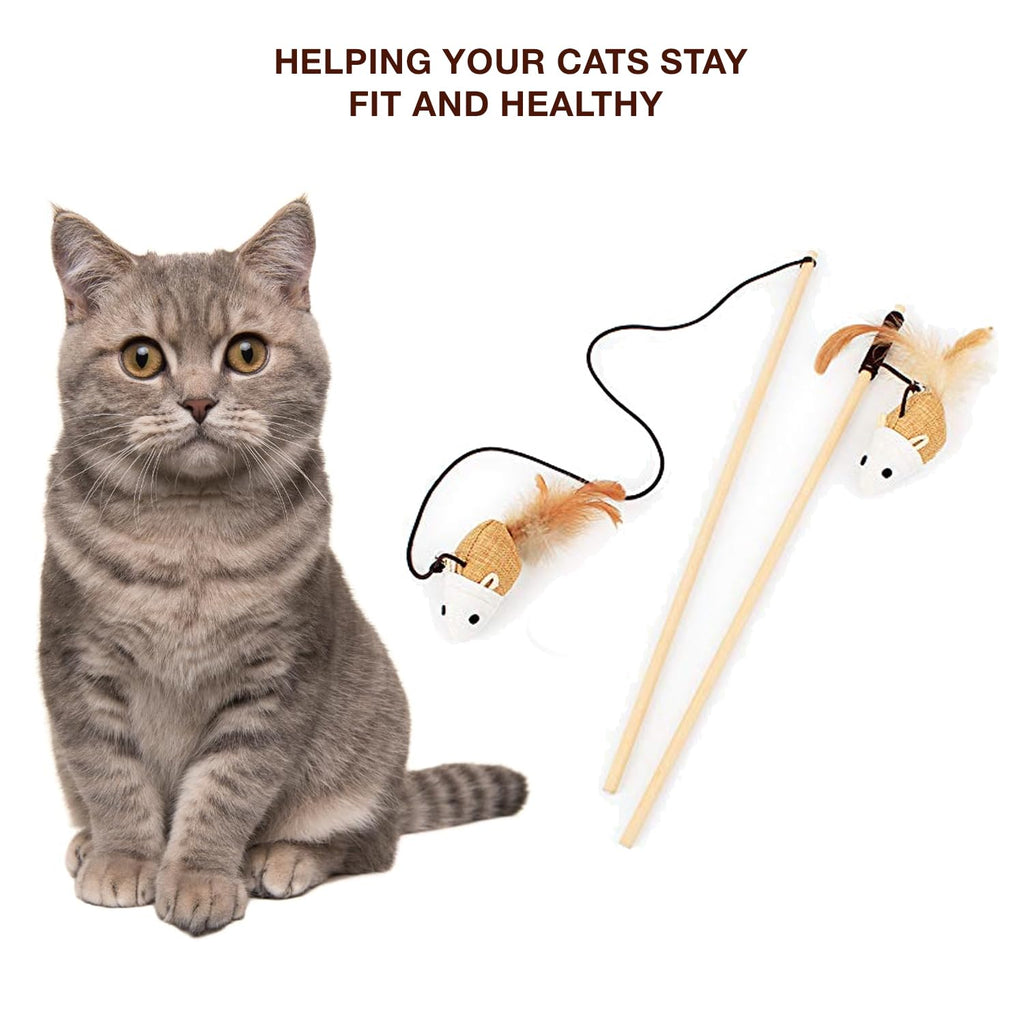 Petbabas Cat and Dog Playing Stick