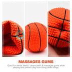 Petbabas Interactive Playing Ball for Dogs