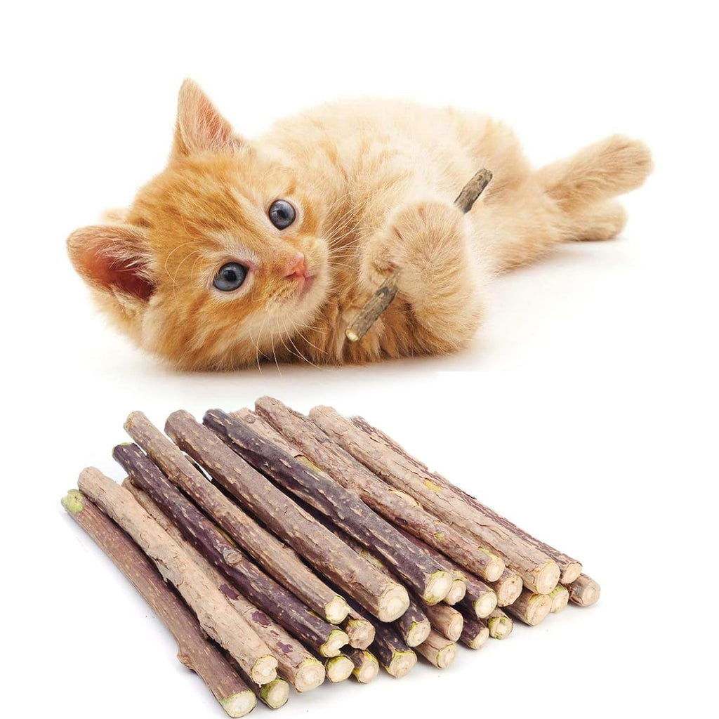 Petbabas 10Pcs Natural Silvervine Sticks