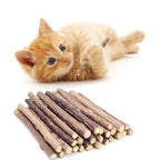 Petbabas 10Pcs Natural Silvervine Sticks