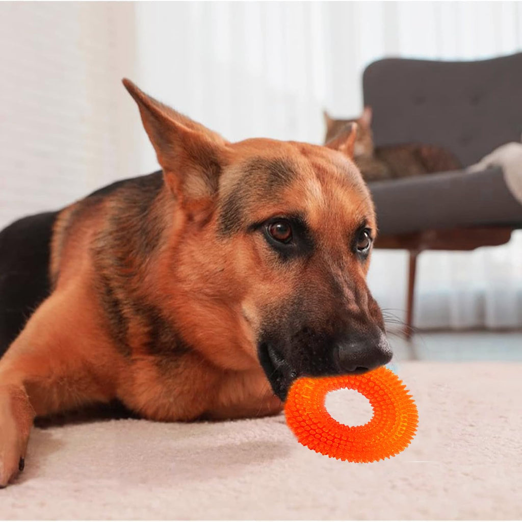 Petbabas Squeaky Ring Toy|Non- Toxic and Durable Squeaky Ring Shaped Ring Toy
