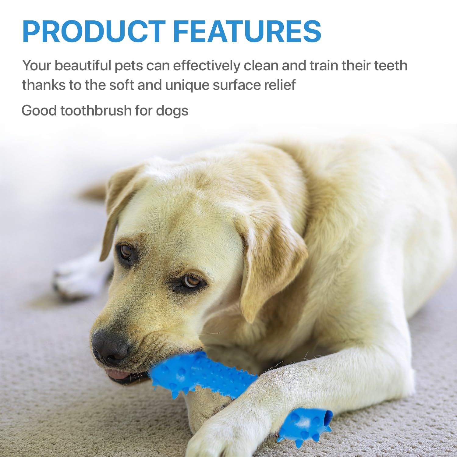 Petbabas Durable Chew toy Dumbbell for Dogs and Cats