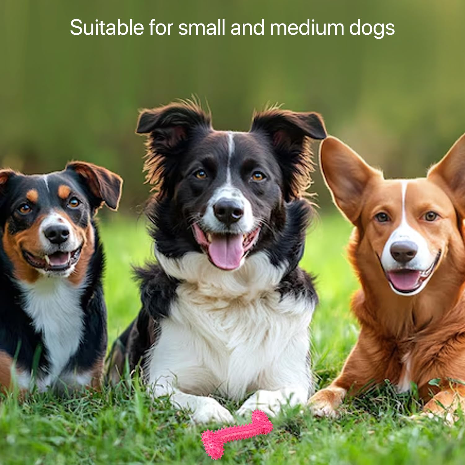 PETBABAS Dog Chew Toy for Puppy, Cute Blue Small Dog Toy