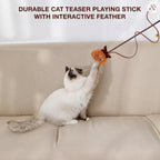 Petbabas Cat and Dog Playing Stick