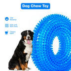 Petbabas Squeaky Ring Toy|Non- Toxic and Durable Squeaky Ring Shaped Ring Toy