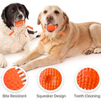 Petbabas Play Ball for Dogs and Pets