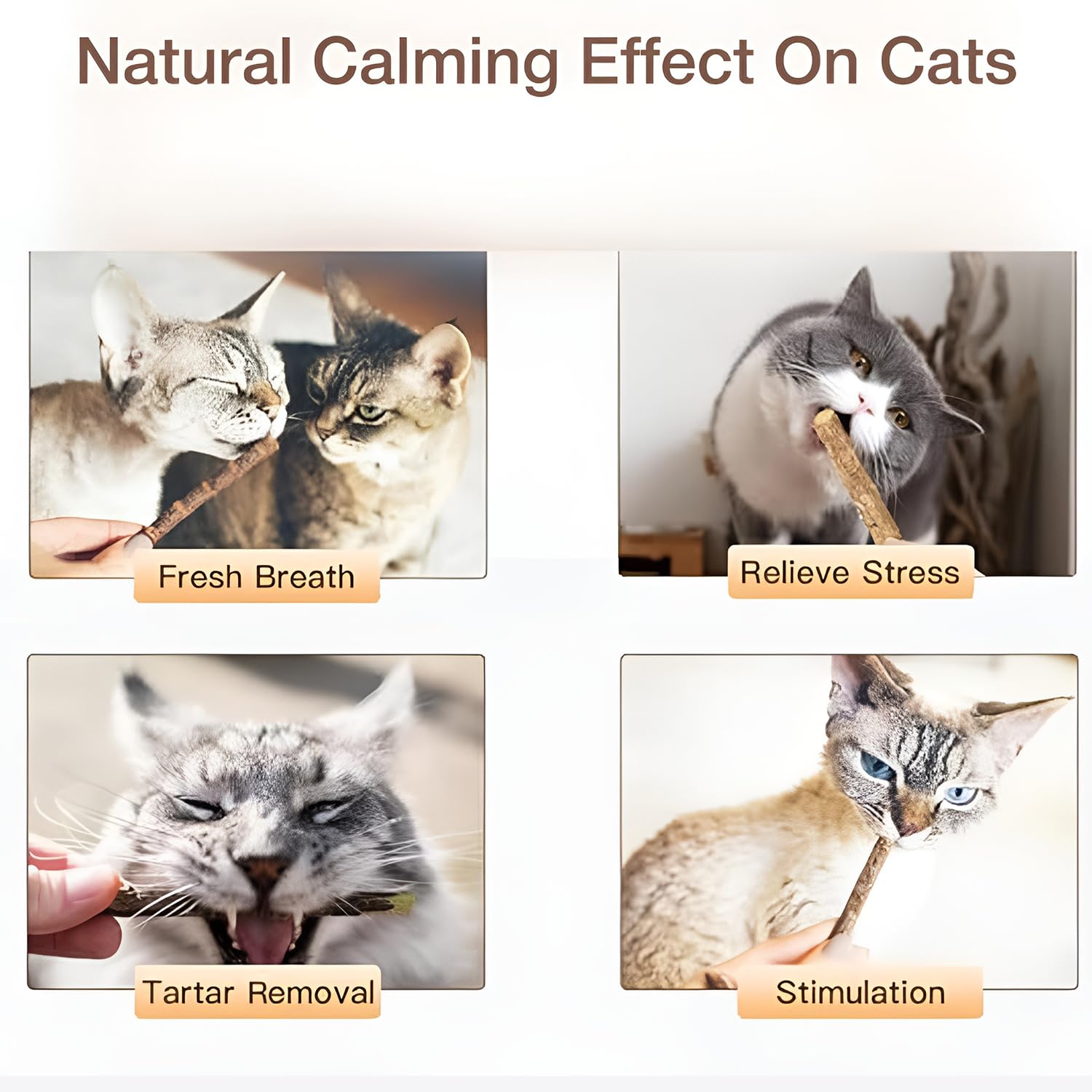 Petbabas 15PCS Natural Silvervine Sticks