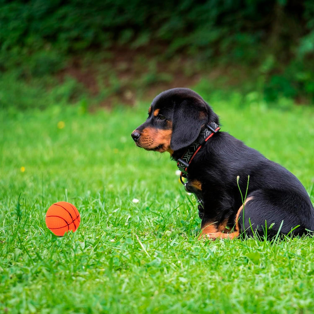 Petbabas Interactive Playing Ball for Dogs