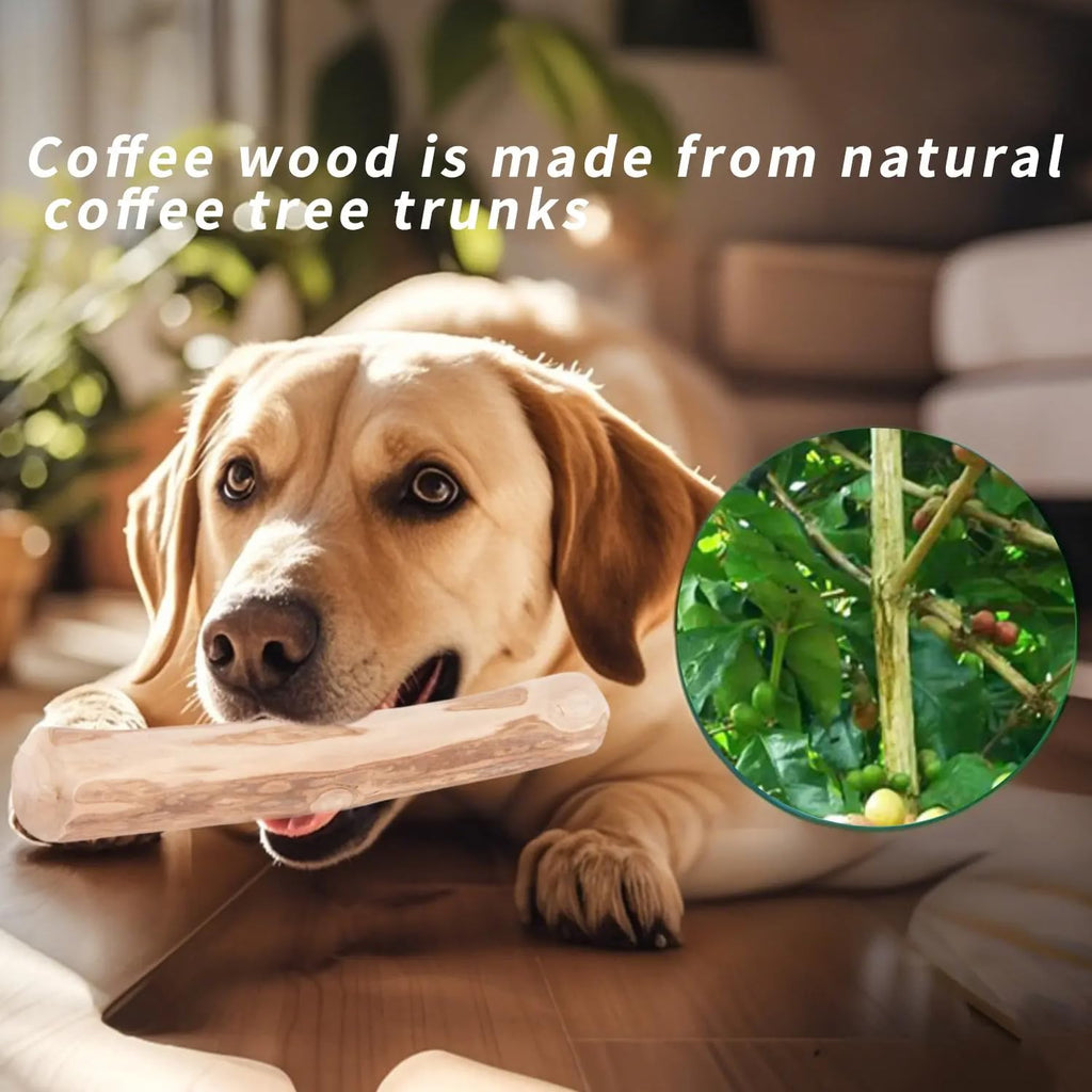 Petbabas Pet Coffee Wood Dog Toys
