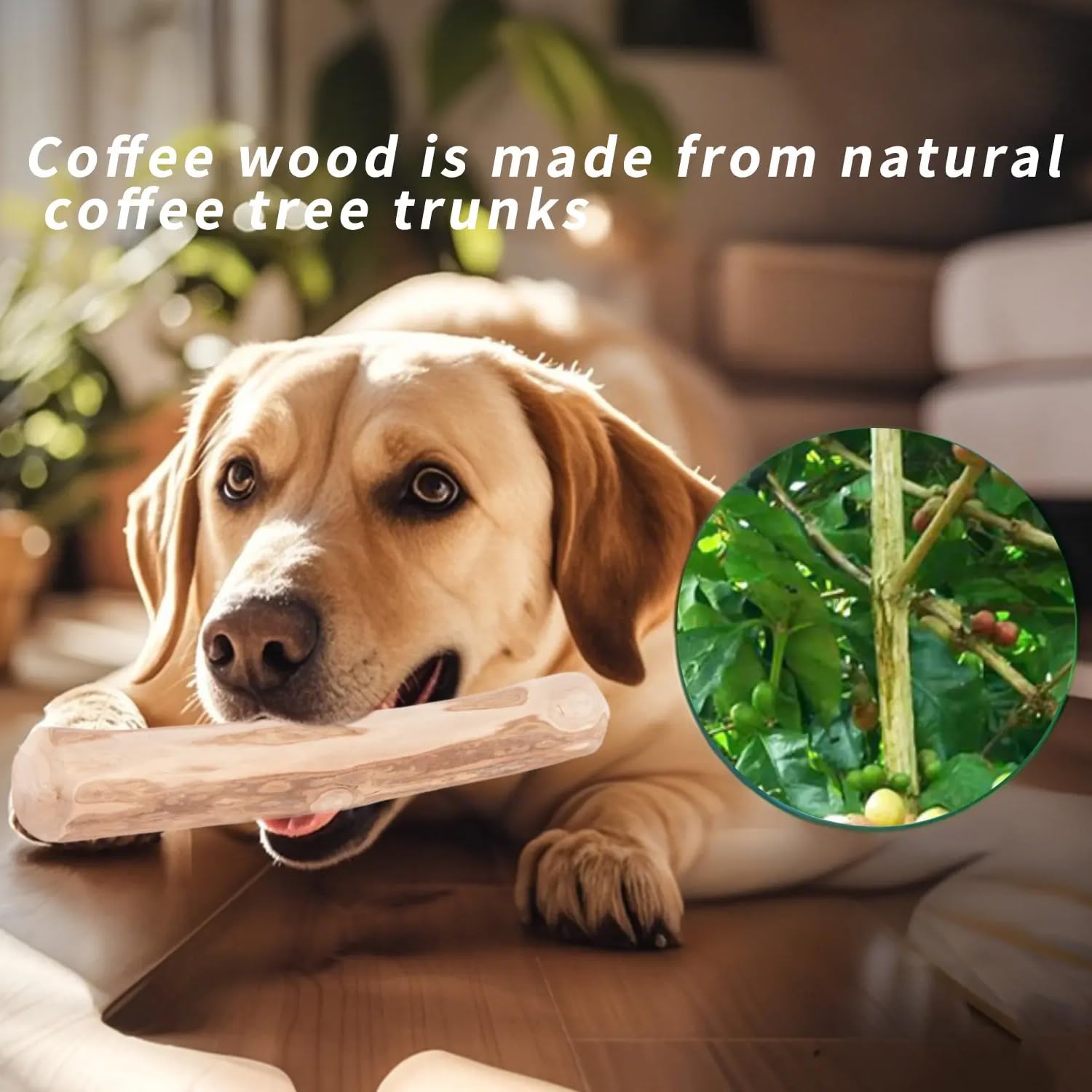 Petbabas Pet Coffee Wood Dog Toys