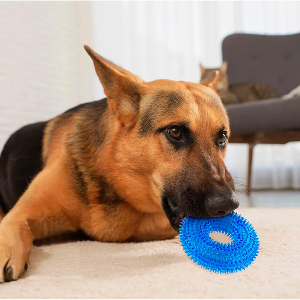 Petbabas Squeaky Ring Toy|Non- Toxic and Durable Squeaky Ring Shaped Ring Toy