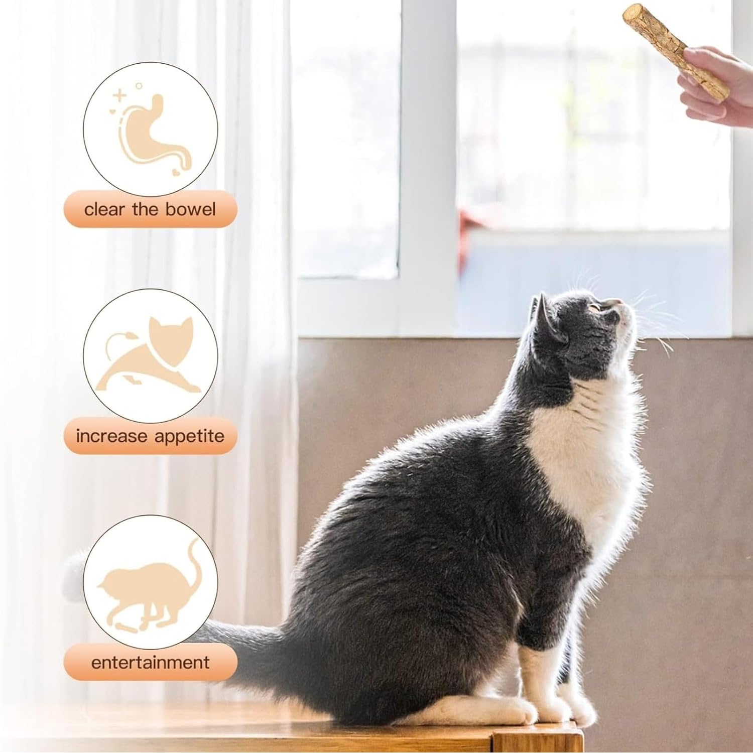 Petbabas 15PCS Natural Silvervine Sticks