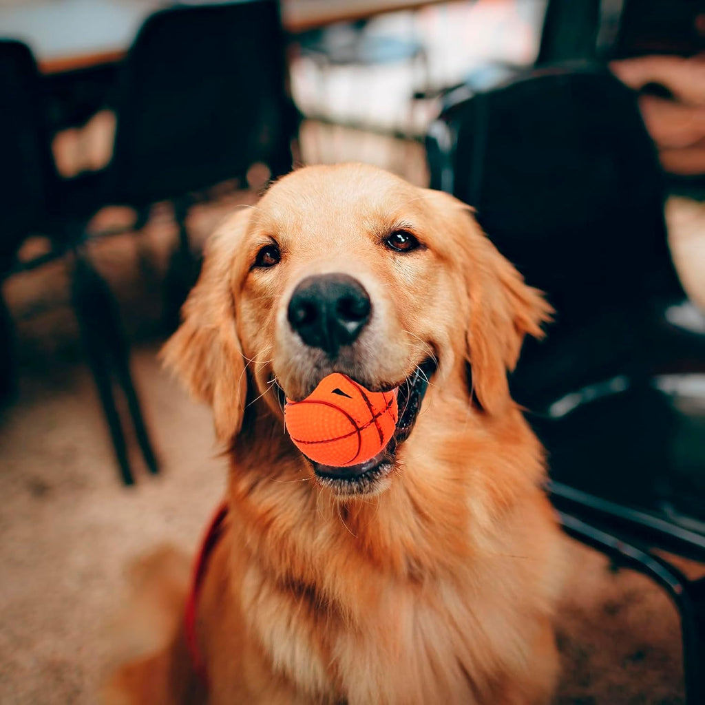 Petbabas Interactive Playing Ball for Dogs