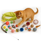 Petbabas 21 Pcs Cat Toy Set
